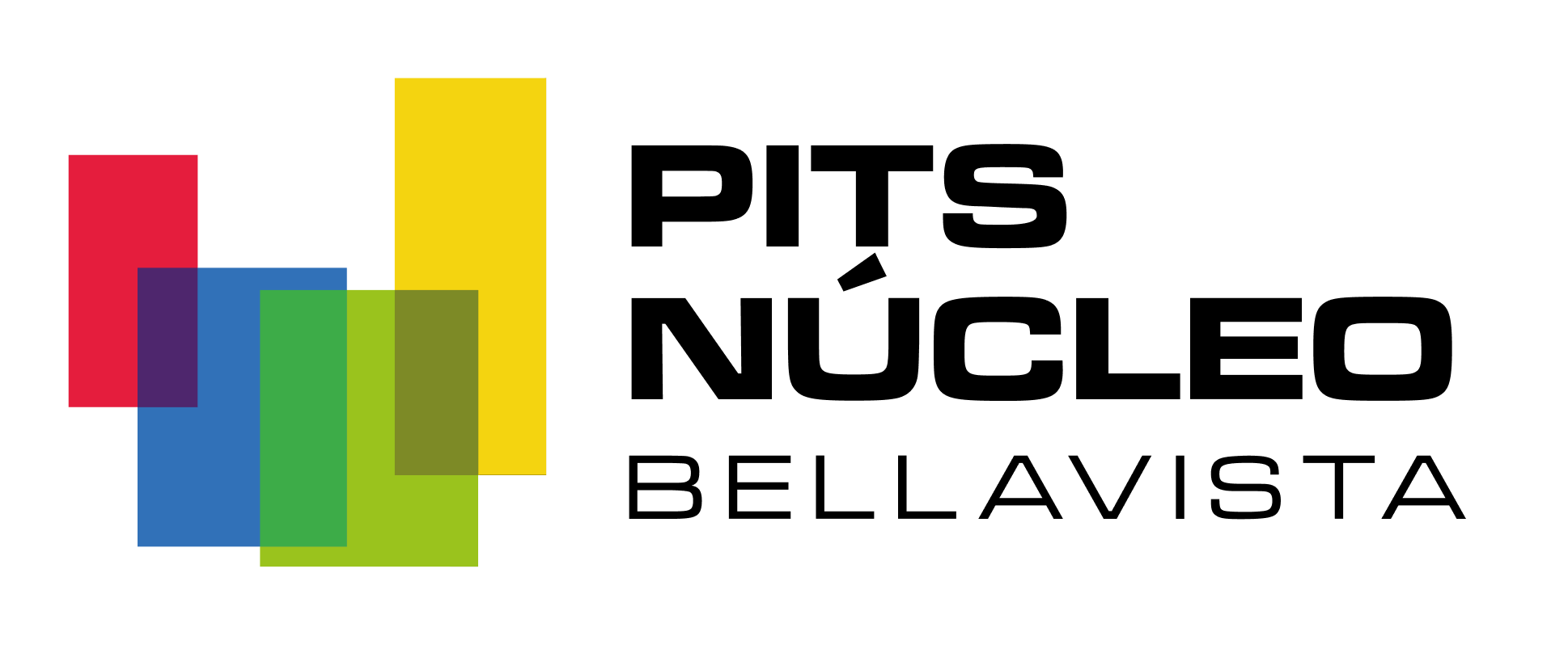 Logo Pits